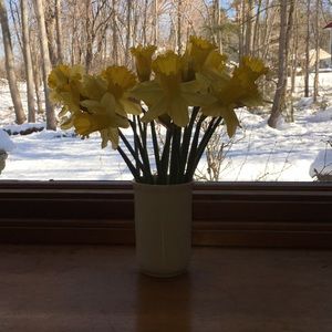 Meet your Posher, Noel